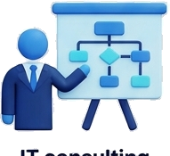 IT Consultancy
